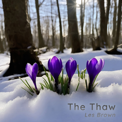 The Thaw by Les Brown